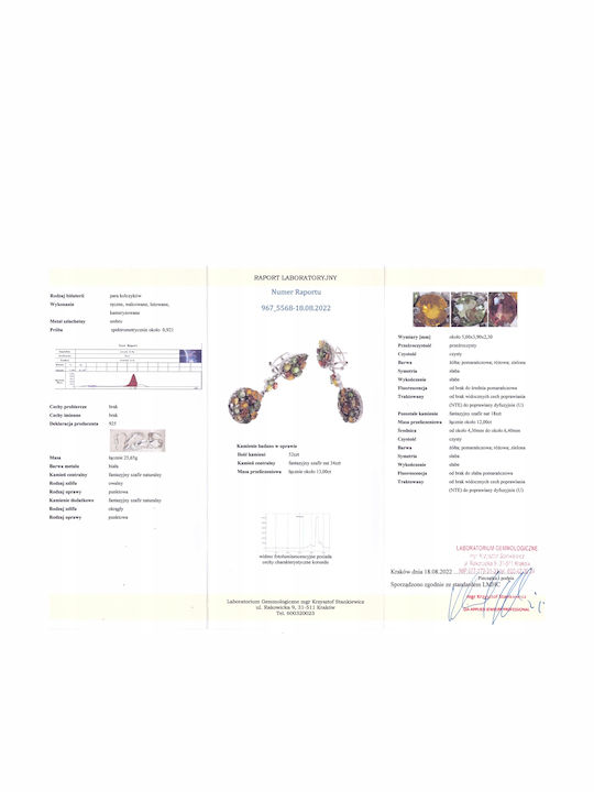 Long Sapphire Earrings Fancy Certificate