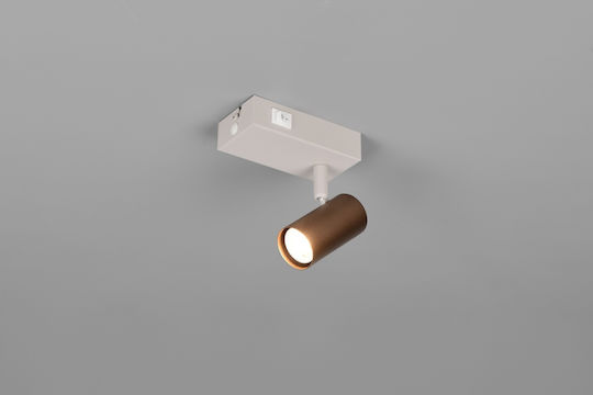 Trio Lighting Single Ceiling & Wall Spot in Brown Colour