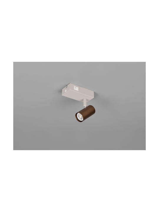 Trio Lighting Single Ceiling & Wall Spot in Brown Colour