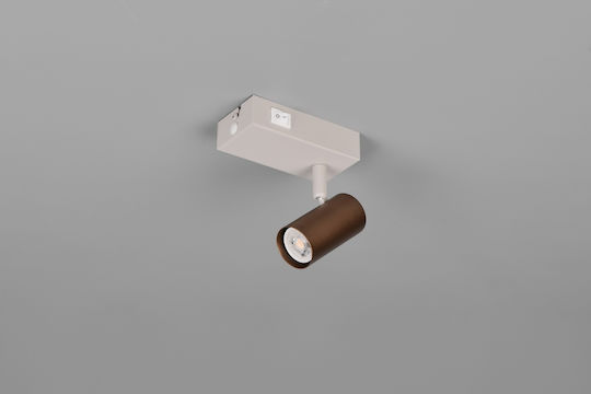 Trio Lighting Single Ceiling & Wall Spot in Brown Colour