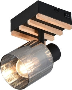 Trio Lighting Single Ceiling & Wall Spot in Black Colour