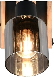 Trio Lighting Single Ceiling & Wall Spot in Black Colour