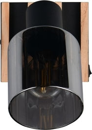 Trio Lighting Single Ceiling & Wall Spot in Black Colour