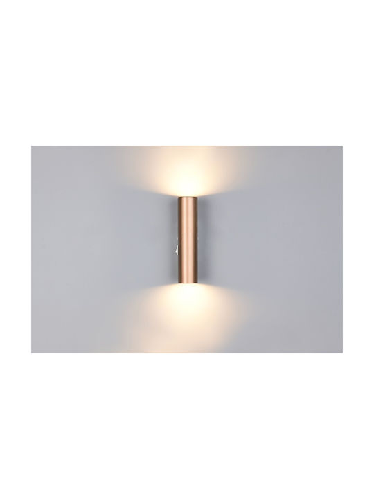 Trio Lighting Μοντέρνο Φωτιστικό Τοίχου Καφέ
