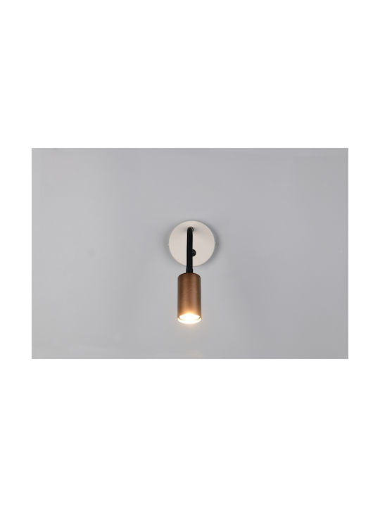 Trio Lighting Modern Wandleuchte Braun