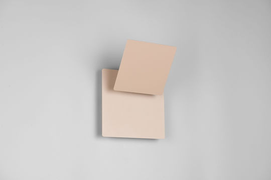 Trio Lighting Modern Beige Wall Lamp