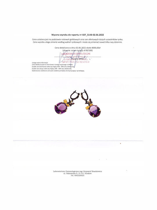 Amethyst Tourmaline Ohrringe 52ct 4 Zertifikate