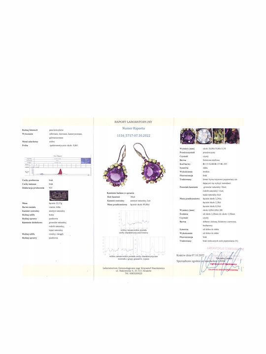 49ct Amethyst Topaz Earrings Certificate