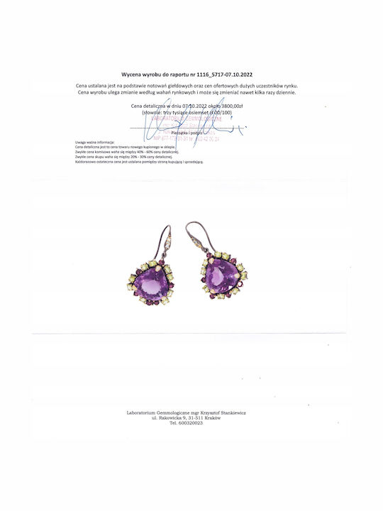 49ct Amethyst Topaz Earrings Certificate