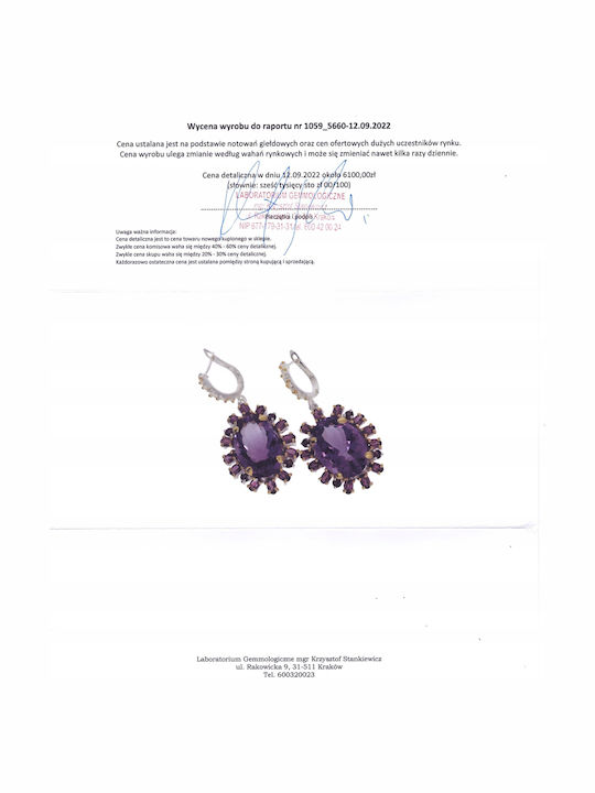 925 Earrings 34ct Amethyst Rhodolite Certificate 2