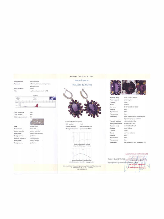 925 Earrings 34ct Amethyst Rhodolite Certificate 2