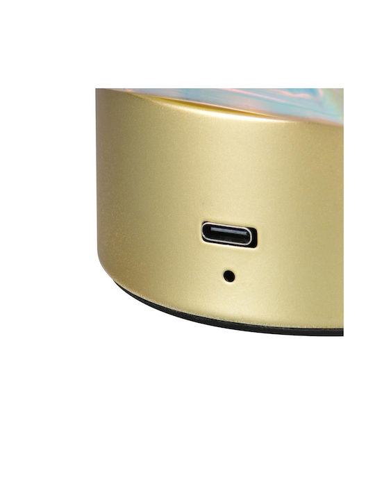 Trio Lighting Διακοσμητικό Φωτιστικό Θερμό Λευκό 3000K