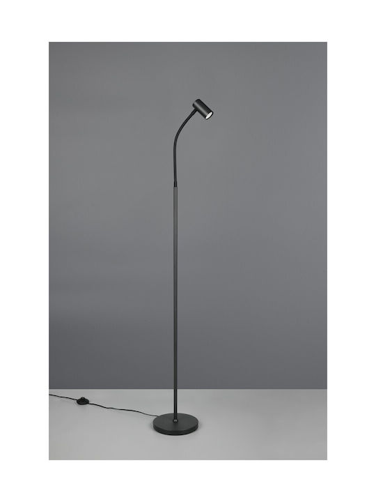 Trio Lighting Floor Lamp Black