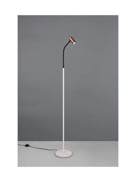 Trio Lighting Floor Lamp Brown