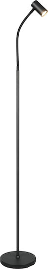 Trio Lighting Lampadar de Podea Negru