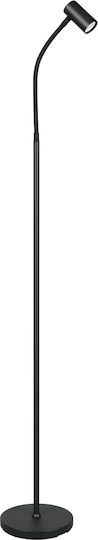 Trio Lighting Lampadar de Podea Negru