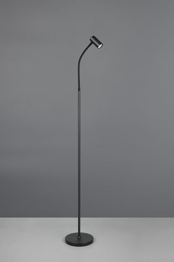 Trio Lighting Lampadar de Podea Negru