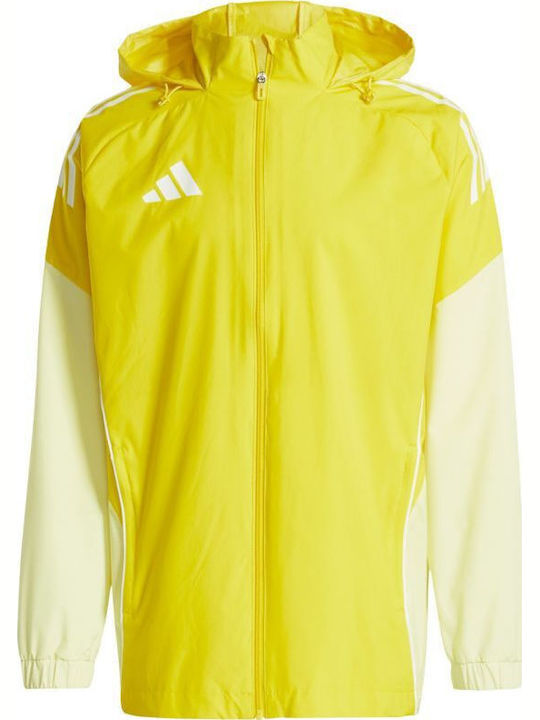 Jacket Мъжко Яке Жълто