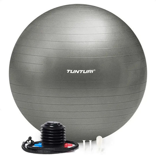 Tunturi Pilates Ball 65cm in Gray Farbe