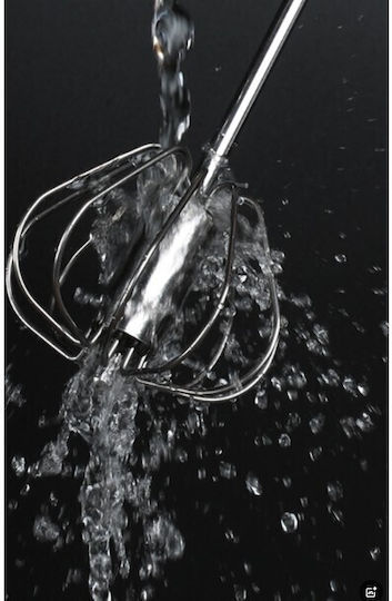 Alista Home Metallic Egg Beater 27cm