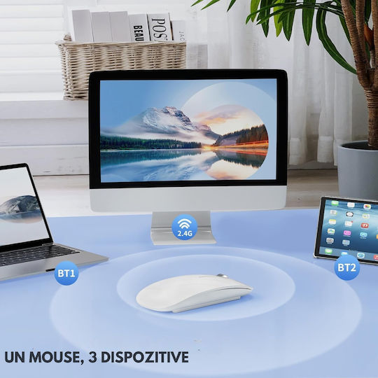 Qova Kabelloses Ergonomisches Bluetooth Mäuse Weiß