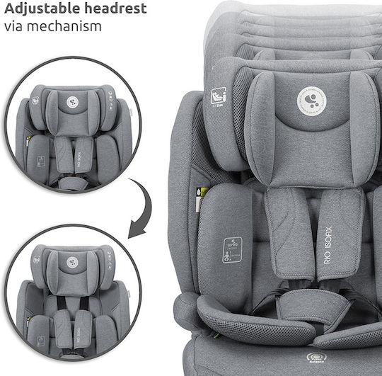 Lorelli Rio Καθισματάκι Αυτοκινήτου i-Size με Isofix Pink 9-36 kg