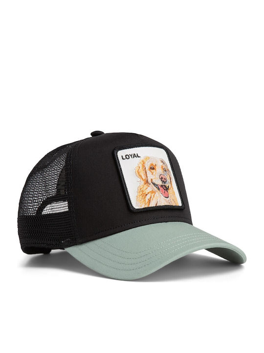 Jockey Loyal Dog Hund Schwarz-menta Goorin Bros