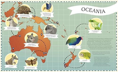 Around The World In 80 Endangered Animals