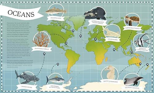 Around The World In 80 Endangered Animals