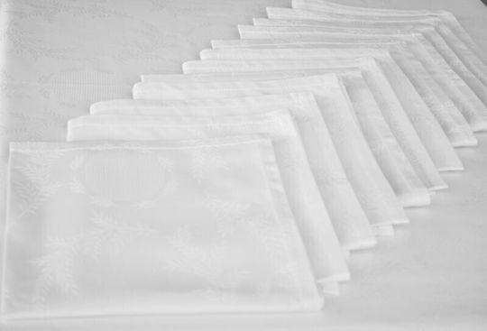 Dining Tablecloth Set 170x270 12 Dining Napkins
