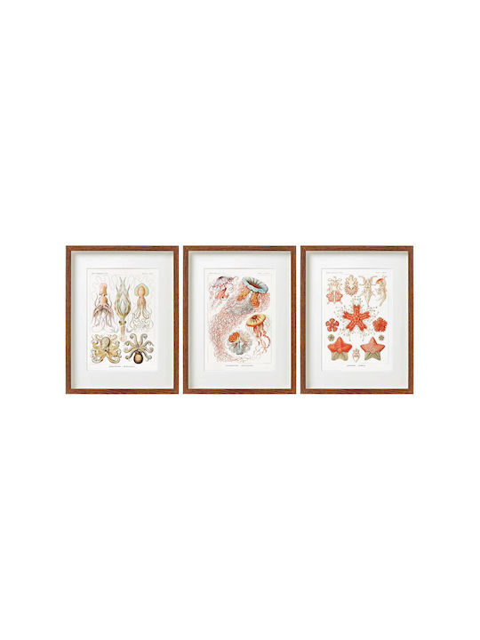 Frame "Under Sea" 3 designs 30x40cm
