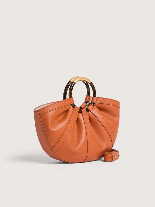 Coccinelle Coccinelle