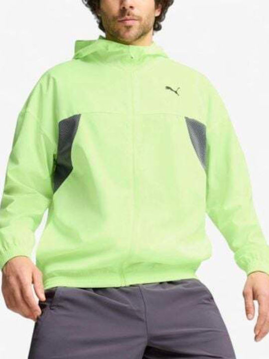 PUMA