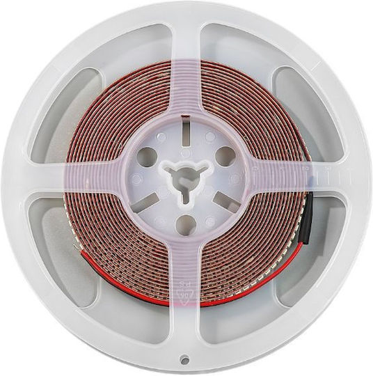 Modee Lighting LED-Streifen 24V Natürliches Weiß Licht 5m