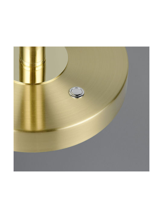 Trio Lighting Monza Iluminat De Birou