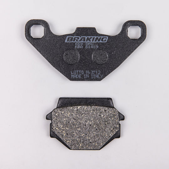 Τακακια Πισω Kawasaki Kle 500 97'-07' Gpz 500s 94'-03' Zx-7r Ninja 96'-06' Braking 669sm1