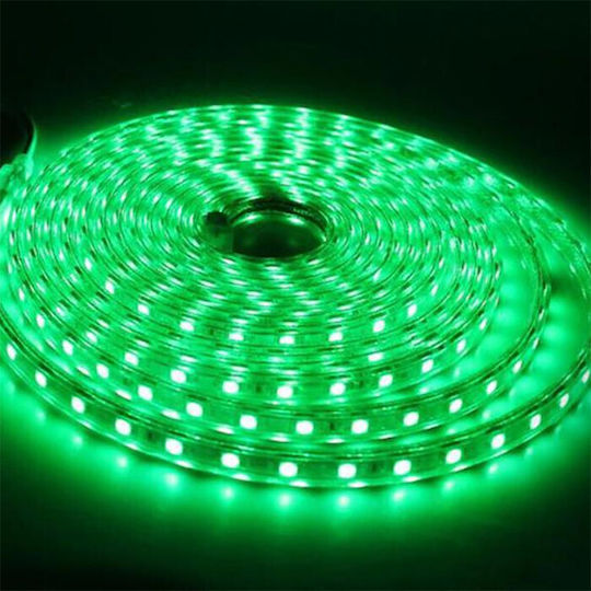 Elmark Αδιάβροχη Ταινία LED 12V Πράσινο Φως 5m Τύπου SMD5050