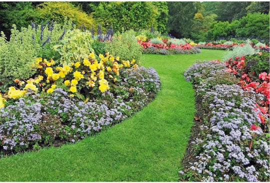 Cellfast Straight Black Garden Hedge 15cm x 9m