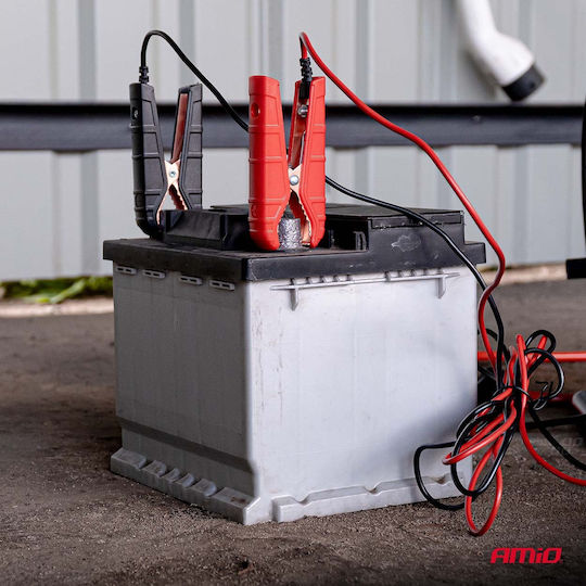 AMiO Încărcător Baterie Auto 12/24V