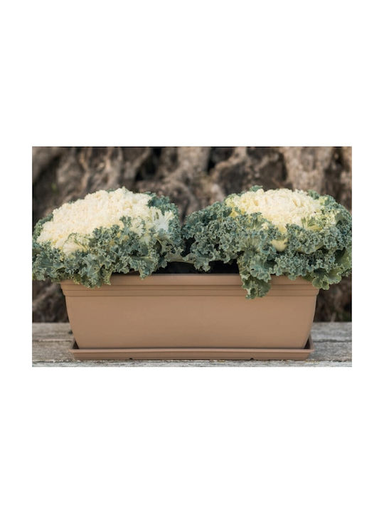 Viosarp Jardinieră Antracit
