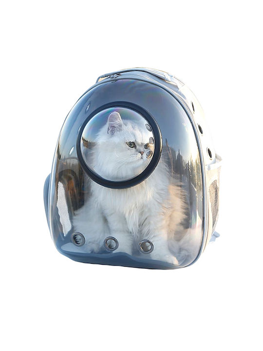 Animal 42εκ. 23.07.03827