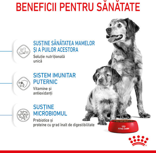 Royal Canin Starter Mother & Babydog Medium 15kg Dry Food for Medium Breed Puppies with Chicken and Rice