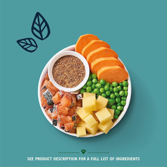 Salmon Supper 1kg Dry Food Grain-Free for Adult Dogs with Salmon