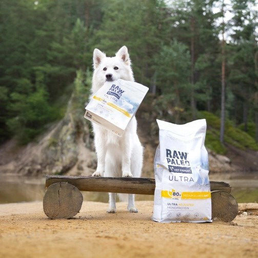2kg Dry Food Grain-Free & Gluten-Free for Adult Medium & Large Breed Dogs with Turkey
