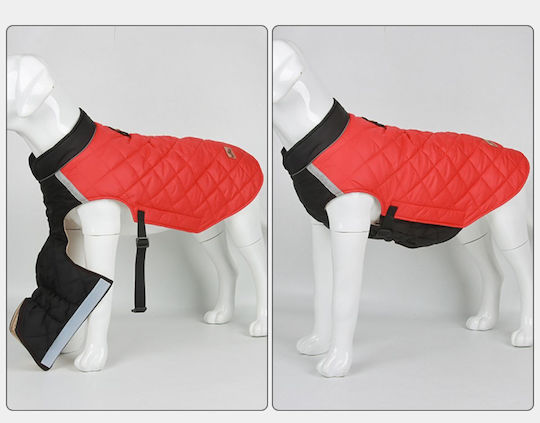 Red Dog Coat with 50cm Back Length