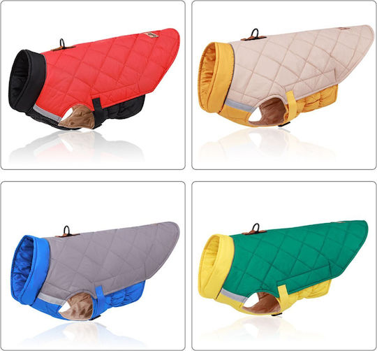 Yellow Dog Coat with 50cm Back Length