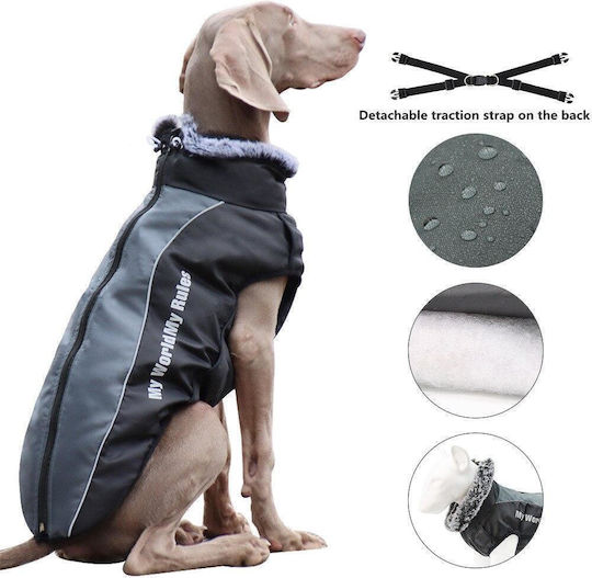 Animal Hundemantel Gray mit Rückenlänge 42 cm.