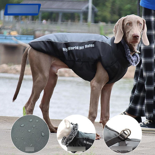 Animal Hundemantel Gray mit Rückenlänge 42 cm.