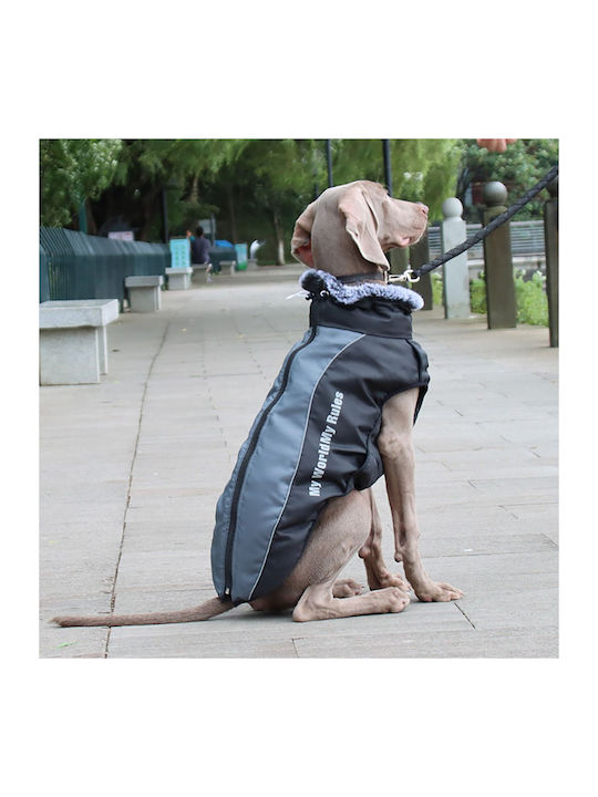 Animal Hundemantel Gray mit Rückenlänge 42 cm.