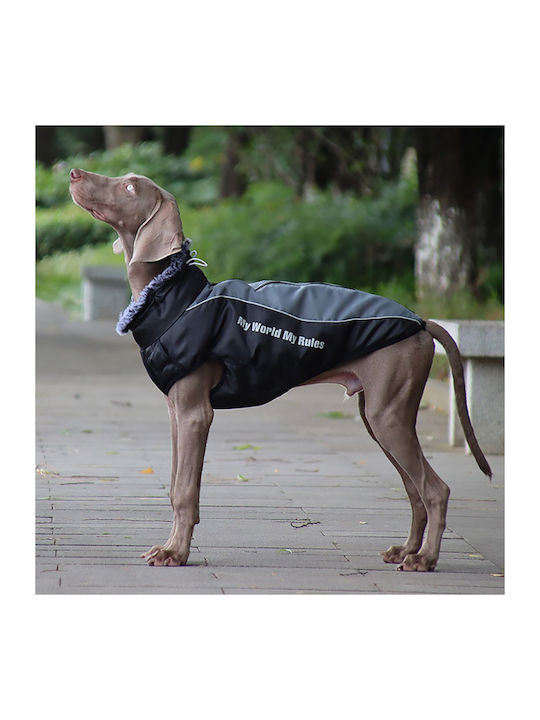 Animal Hundemantel Gray mit Rückenlänge 42 cm.